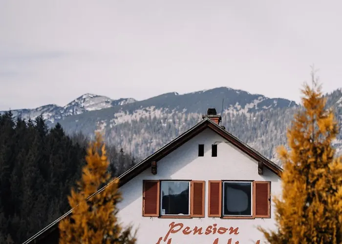 Alpenblick Goesweiner * Windischgarsten